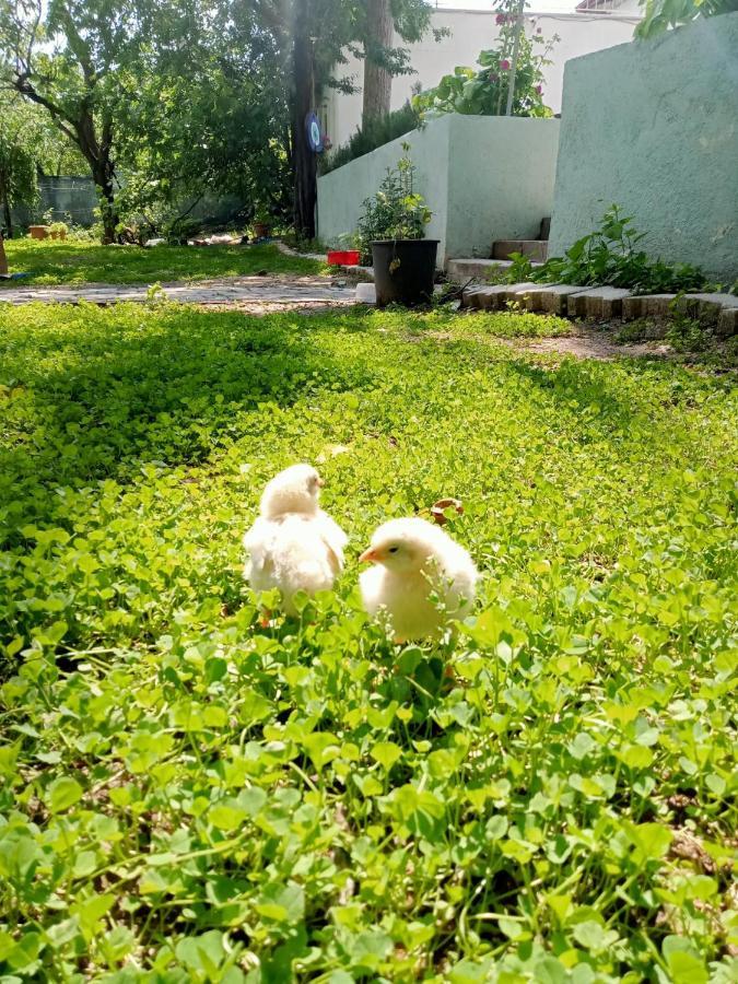 Salda Goelue Koca Kapi Konaklama Yesilova  Extérieur photo