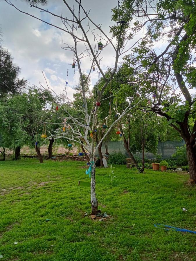 Salda Goelue Koca Kapi Konaklama Yesilova  Extérieur photo