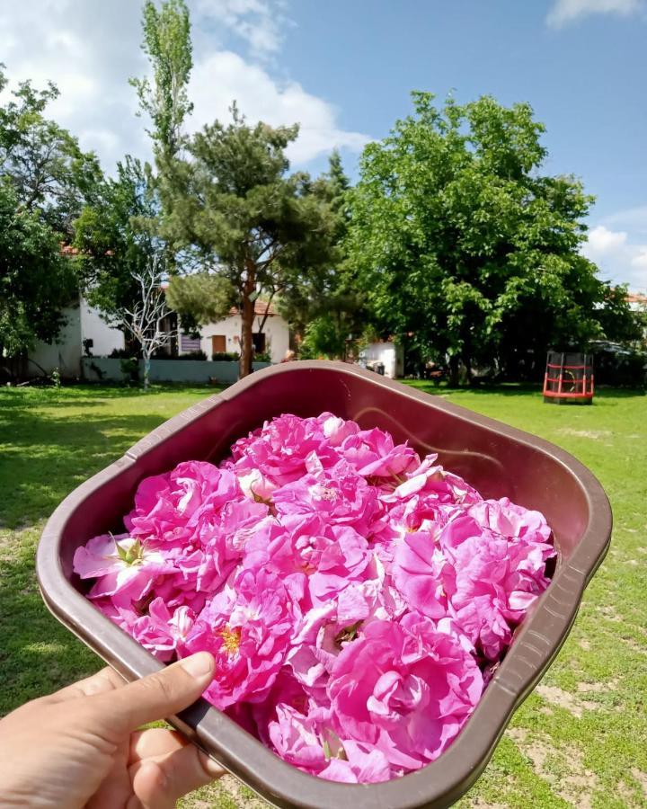 Salda Goelue Koca Kapi Konaklama Yesilova  Extérieur photo