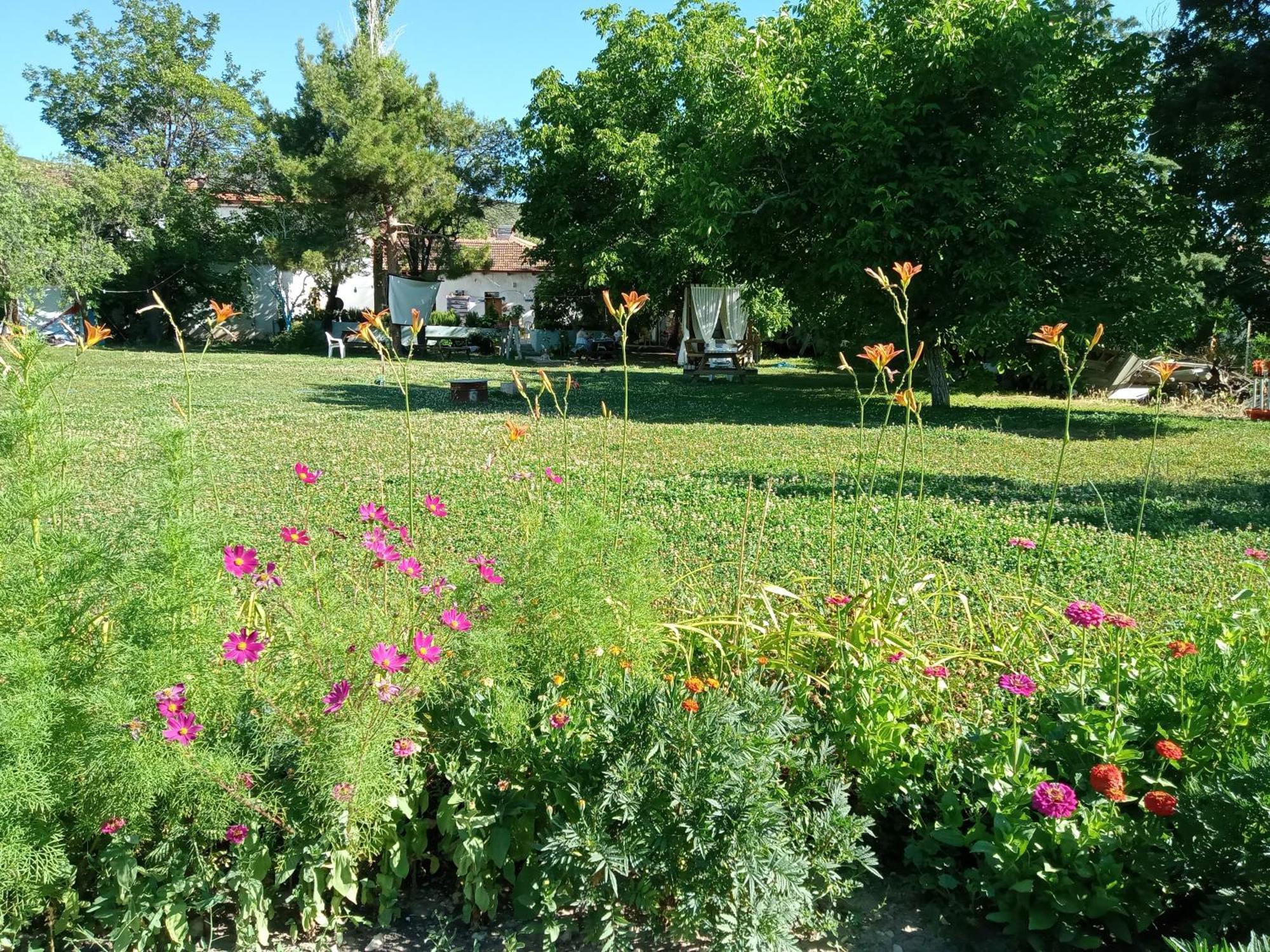 Bed and Breakfast Salda Goelue Koca Kapi Konaklama à Yesilova  Extérieur photo